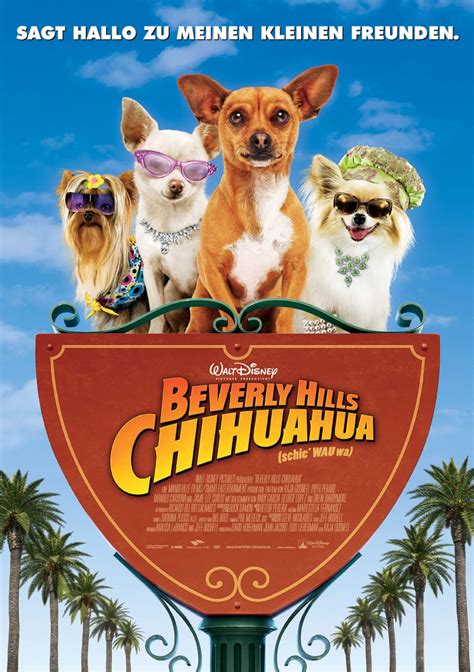 will there be a beverly hills chihuahua 4.